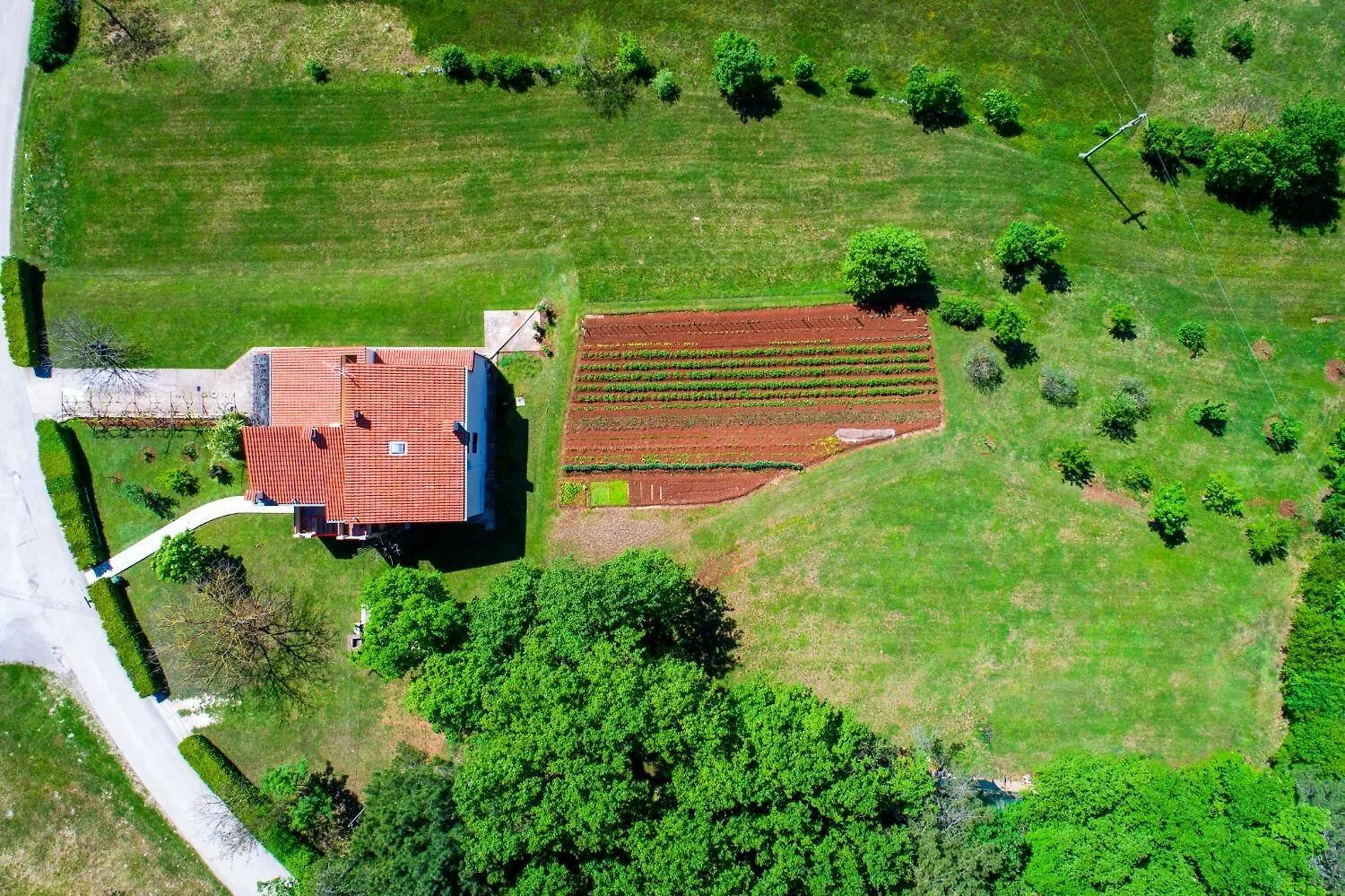 Apartment Bruno Barban Croatia